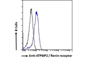 ABIN185092 Flow cytometric analysis of paraformaldehyde fixed HeLa cells (blue line), permeabilized with 0.