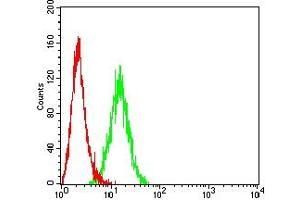 Flow cytometric analysis of Hela cells using PSAP mouse mAb (green) and negative control (red).