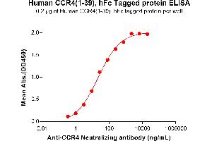 ELISA plate pre-coated by 2 μg/mL (100 μL/well) Human (1-39) Protein, hFc Tag (ABIN6964144, ABIN7042567 and ABIN7042568) can bind Anti- Neutralizing antibody ABIN7455960 and ABIN7490918 in a linear range of 1.