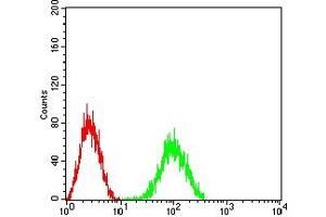 Flow cytometric analysis of HL-60 cells using CD204 mouse mAb (green) and negative control (red).