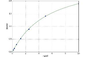 Amelogenin, X-Linked (AMELX) ELISA Kit