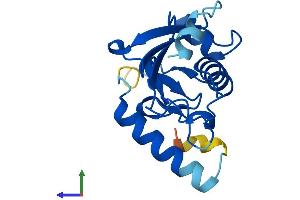 AlphaFold protein structure predicition of Human Recombinant UBE2QL1 Protein, UniprotID A1L167