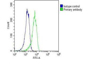 Overlay histogram showing A431 cells stained with (ABIN6242583 and ABIN6577176)(green line).