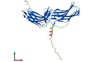 AlphaFold protein structure predicition of Human Recombinant VPS26A Protein, UniprotID O75436