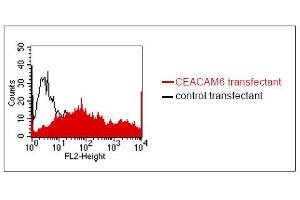 FACS analysis of BOSC23 cells using MUS. (CEACAM5/6 anticorps)