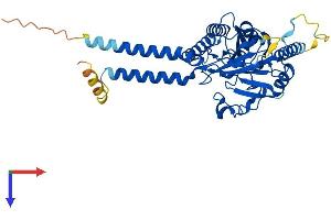 AlphaFold protein structure predicition of Mouse Recombinant Mppe1 Protein, UniprotID Q80XL7