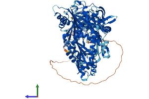 AlphaFold protein structure predicition of Mouse Recombinant Piwil1 Protein, UniprotID Q9JMB7