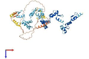 AlphaFold protein structure predicition of Human Recombinant ZNF266 Protein, UniprotID Q14584