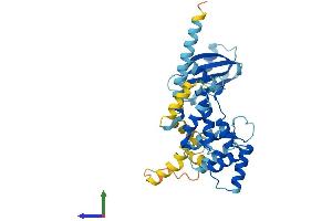 AlphaFold protein structure predicition of Mouse Recombinant Pnma1 Protein, UniprotID Q8C1C8