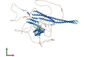 AlphaFold protein structure predicition of Mouse Recombinant Arhgap45 Protein, UniprotID Q3TBD2