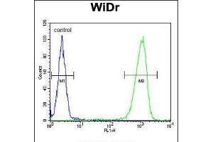 Flow cytometric analysis of WiDr cells (right histogram) compared to a negative control cell (left histogram).