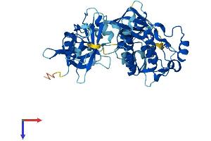 AlphaFold protein structure predicition of Human Recombinant PTK6 Protein, UniprotID Q13882