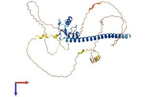 AlphaFold protein structure predicition of Human Recombinant THAP5 Protein, UniprotID Q7Z6K1