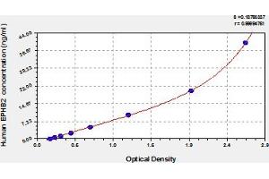 Typical Standard Curve (EPH Receptor B2 Kit ELISA)