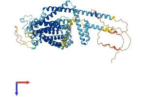 AlphaFold protein structure predicition of Mouse Recombinant Tmc8 Protein, UniprotID Q7TN58
