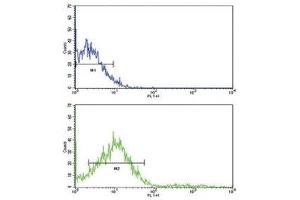 Flow cytometric analysis of NCI-H292 cells using ROR2 antibody (green) compared to a negative control (blue).