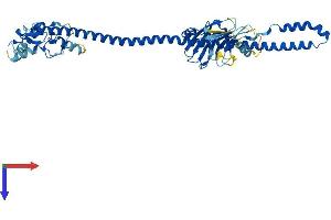 AlphaFold protein structure predicition of Human Recombinant TRIM43B Protein, UniprotID A6NCK2