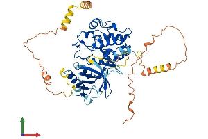 AlphaFold protein structure predicition of Mouse Recombinant Map3k8 Protein, UniprotID Q07174