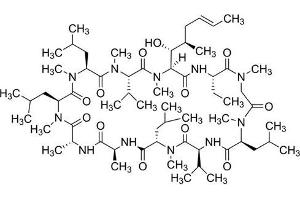 Chemical structure of Cyclosporine , a Inhibits mitochondrial permeability pore opening.