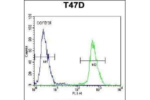 Flow cytometric analysis of T47D cells (right histogram) compared to a negative control cell (left histogram). (NUP210 anticorps  (N-Term))