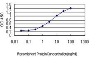 Detection limit for recombinant GST tagged SLC4A4 is approximately 0.