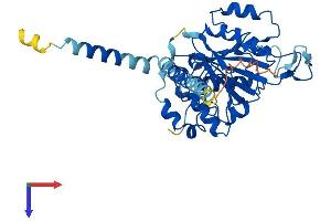 AlphaFold protein structure predicition of Human Recombinant B4GALT6 Protein, UniprotID Q9UBX8
