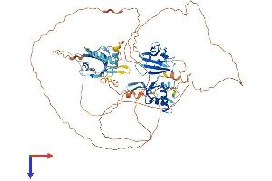 AlphaFold protein structure predicition of Mouse Recombinant Dvl1 Protein, UniprotID P51141
