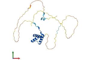AlphaFold protein structure predicition of Mouse Recombinant Nkx2-8 Protein, UniprotID O70584