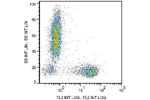 Flow Cytometry analysis  Surface staining of human peripheral blood cells with anti-human CD27 (LT27) PE.
