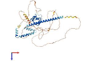 AlphaFold protein structure predicition of Mouse Recombinant Gmeb2 Protein, UniprotID P58929