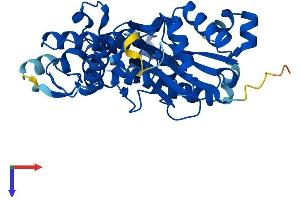 AlphaFold protein structure predicition of Human Recombinant ACTR1B Protein, UniprotID P42025