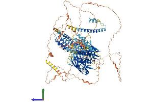 AlphaFold protein structure predicition of Mouse Recombinant Bcr Protein, UniprotID Q6PAJ1
