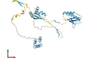 AlphaFold protein structure predicition of Human Recombinant NSFL1C Protein, UniprotID Q9UNZ2