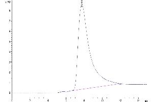The purity of Human IL-5 is greater than 95 % as determined by SEC-HPLC.