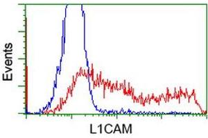 Flow Cytometry (FACS) image for anti-L1 Cell Adhesion Molecule (L1CAM) antibody (ABIN1499087) (L1CAM anticorps)