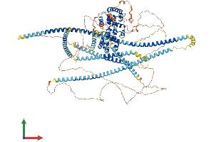 AlphaFold protein structure predicition of Mouse Recombinant Ppfia3 Protein, UniprotID P60469