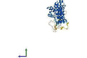 AlphaFold protein structure predicition of Mouse Recombinant Asb1 Protein, UniprotID Q9WV74