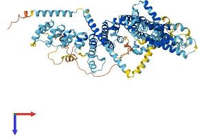 AlphaFold protein structure predicition of Mouse Recombinant Trpc1 Protein, UniprotID Q61056
