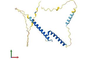 AlphaFold protein structure predicition of Mouse Recombinant Bhlha15 Protein, UniprotID Q9QYC3