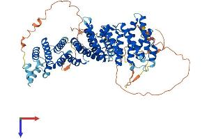 AlphaFold protein structure predicition of Mouse Recombinant Rrn3 Protein, UniprotID B2RS91