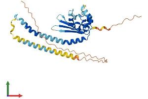 AlphaFold protein structure predicition of Human Recombinant TSPY1 Protein, UniprotID Q01534