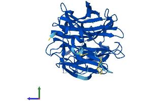 AlphaFold protein structure predicition of Mouse Recombinant Neu2 Protein, UniprotID Q9JMH3