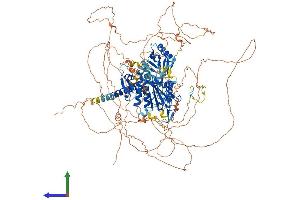 AlphaFold protein structure predicition of Mouse Recombinant Senp6 Protein, UniprotID Q6P7W0