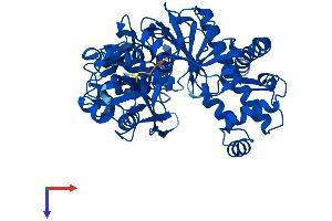 AlphaFold protein structure predicition of Mouse Recombinant Fggy Protein, UniprotID A2AJL3