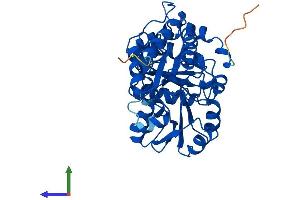 AlphaFold protein structure predicition of Human Recombinant CTH Protein, UniprotID P32929