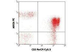 Flow Cytometry (FACS) image for anti-B and T Lymphocyte Associated (BTLA) antibody (PE) (ABIN2663268) (BTLA anticorps  (PE))