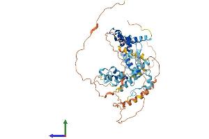 AlphaFold protein structure predicition of Human Recombinant ZNF75D Protein, UniprotID P51815