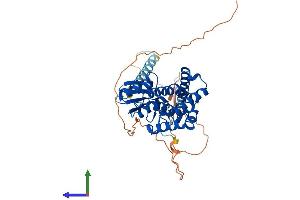 AlphaFold protein structure predicition of Mouse Recombinant Faxc Protein, UniprotID Q3UMF9
