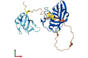 AlphaFold protein structure predicition of Mouse Recombinant Ppie Protein, UniprotID Q9QZH3