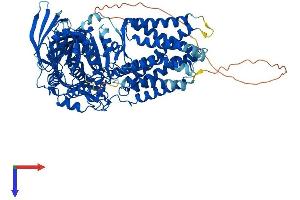 AlphaFold protein structure predicition of Human Recombinant ERMP1 Protein, UniprotID Q7Z2K6
